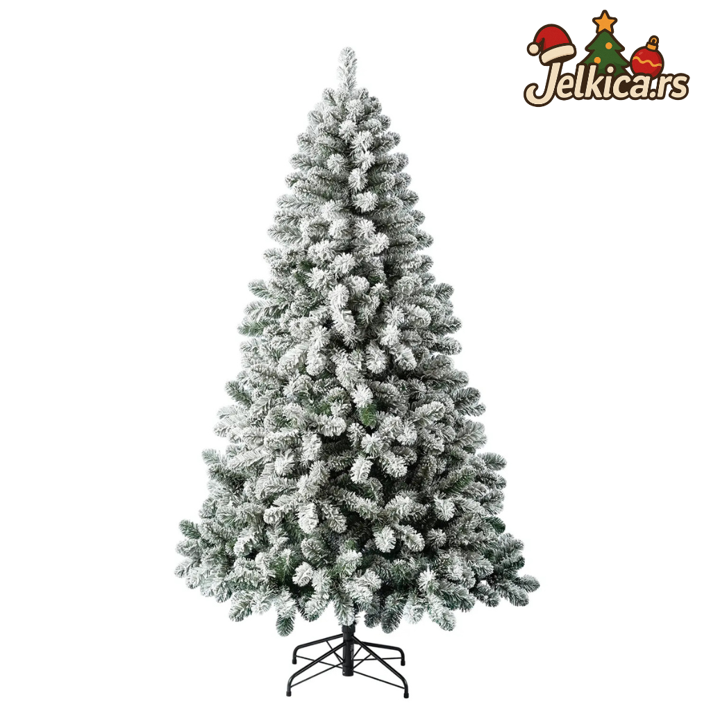 Borova Jelkica Prekrivena Snegom