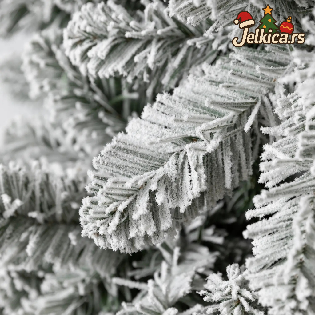 Borova Jelkica Prekrivena Snegom