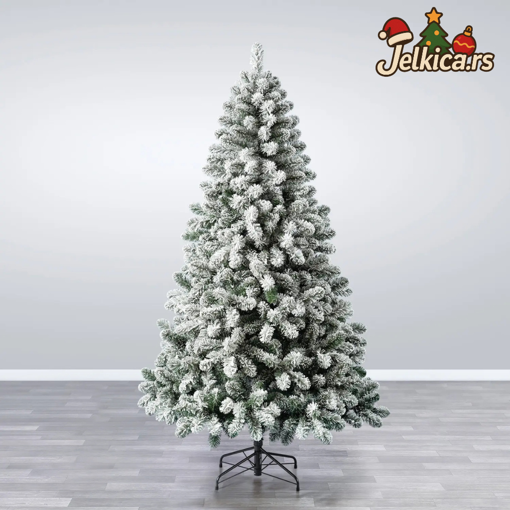 Borova Jelkica Prekrivena Snegom