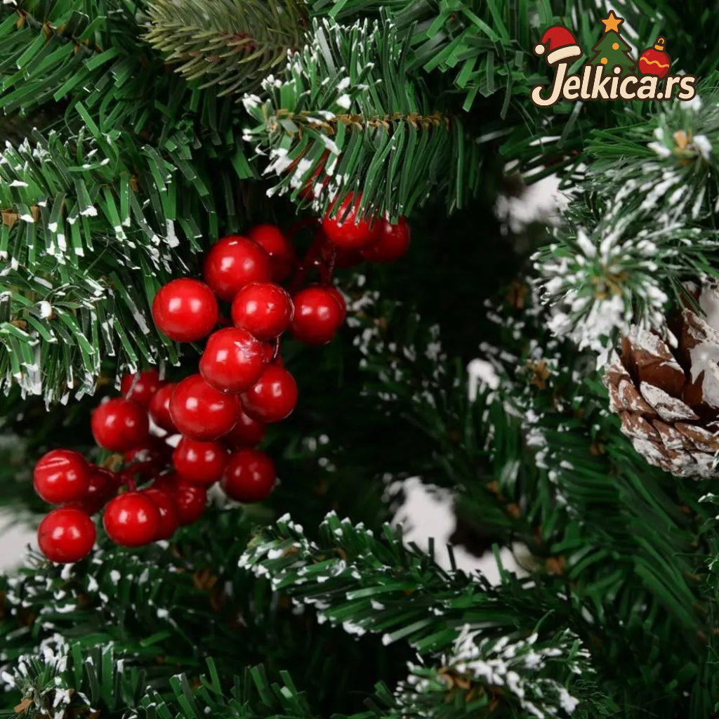 Borova Jelkica Sa Snežnim Vrhovima I Šišarkama